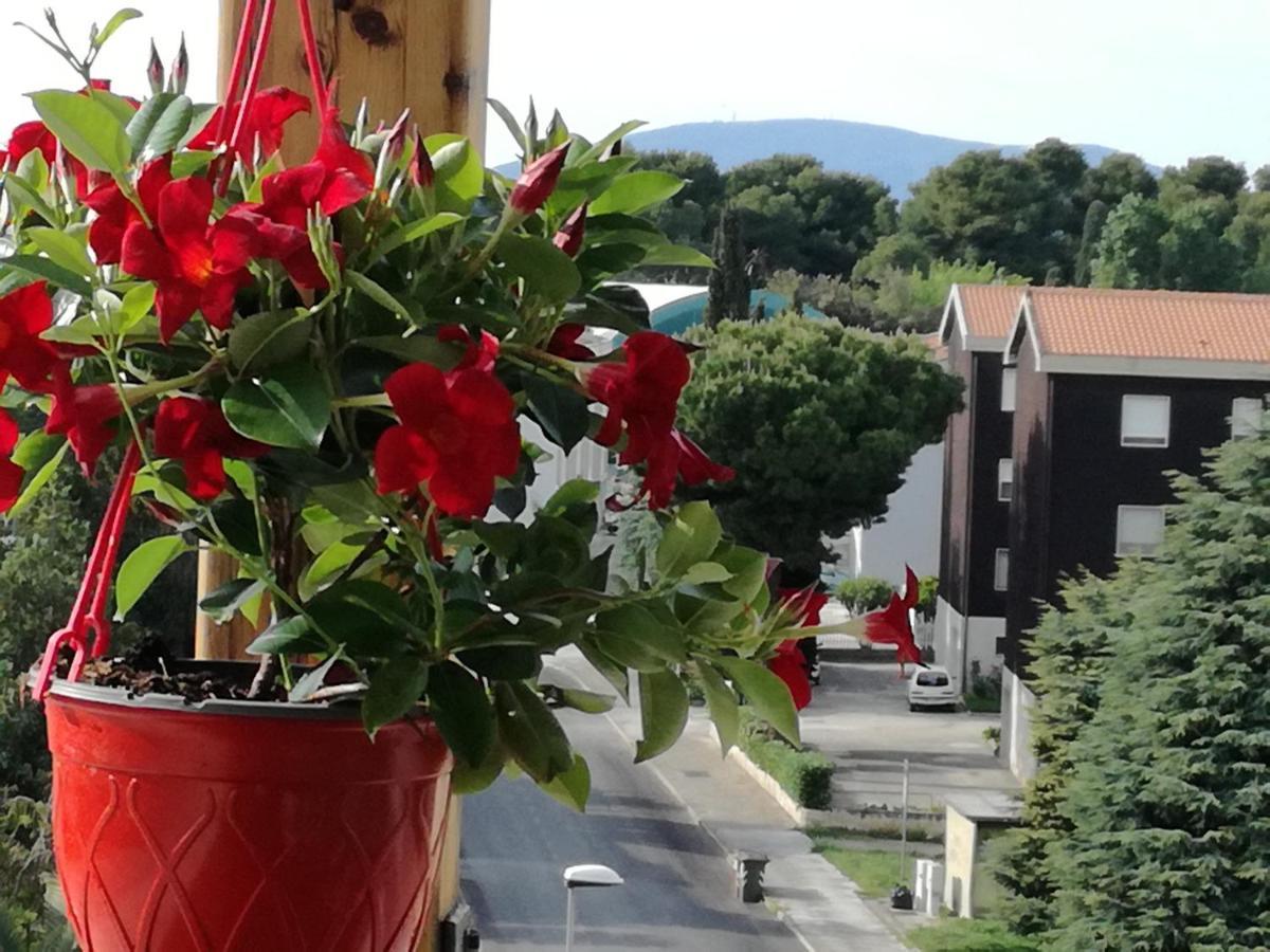 Nel Blu Dipinto Di Blu Porto Recanati Exterior foto